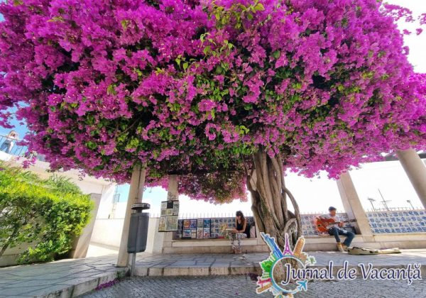 Cele mai frumoase puncte de belvedere (miradouro) din Lisabona